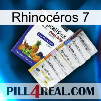 Rhinocéros 7 11